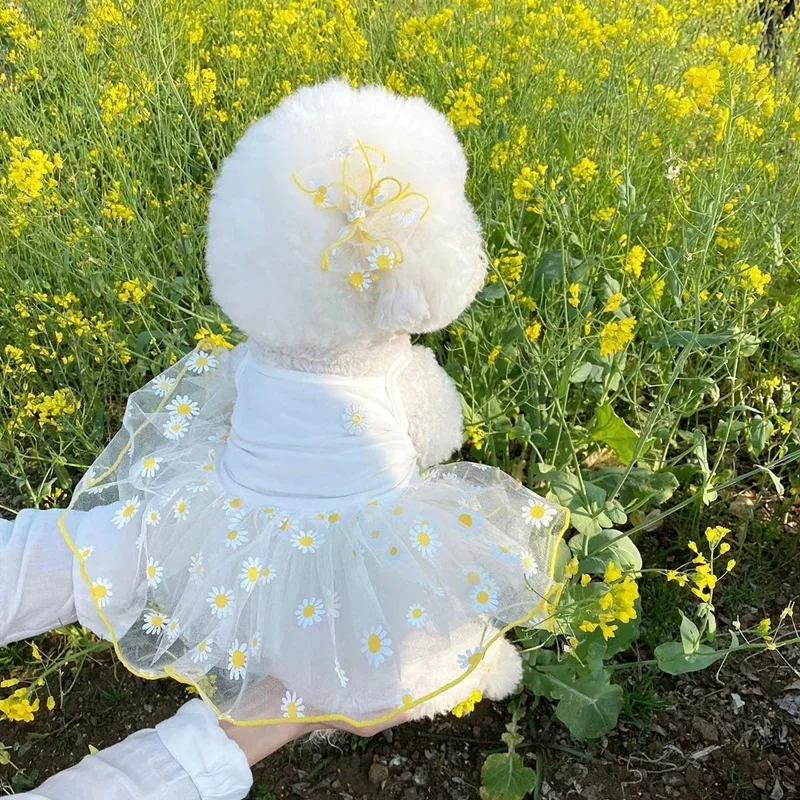 Lindo vestido para perros pequeños, falda fina de princesa para cachorros, ropa de verano para perros, ropa para Chihuahua York, suministros para mascotas - imagen 3