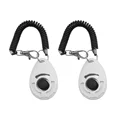 Silver  2PCS