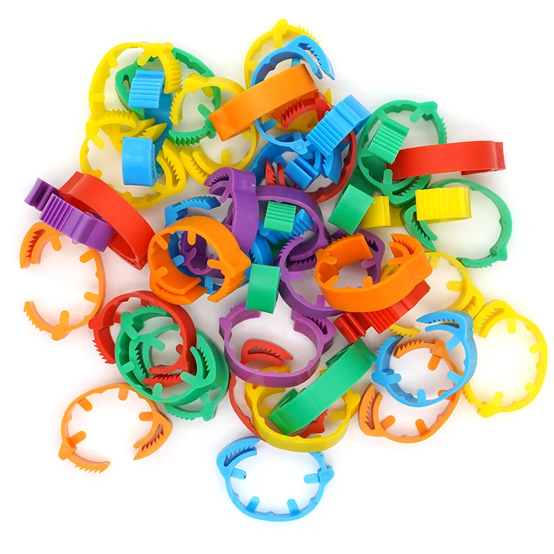 30 uds/50 Uds anillos ajustables para pies de pollo 6 colores diámetro interior tamaño 2 ~ 2,4 cm anillos para pies retráctiles flexibles para aves de corral y pollo - imagen 5