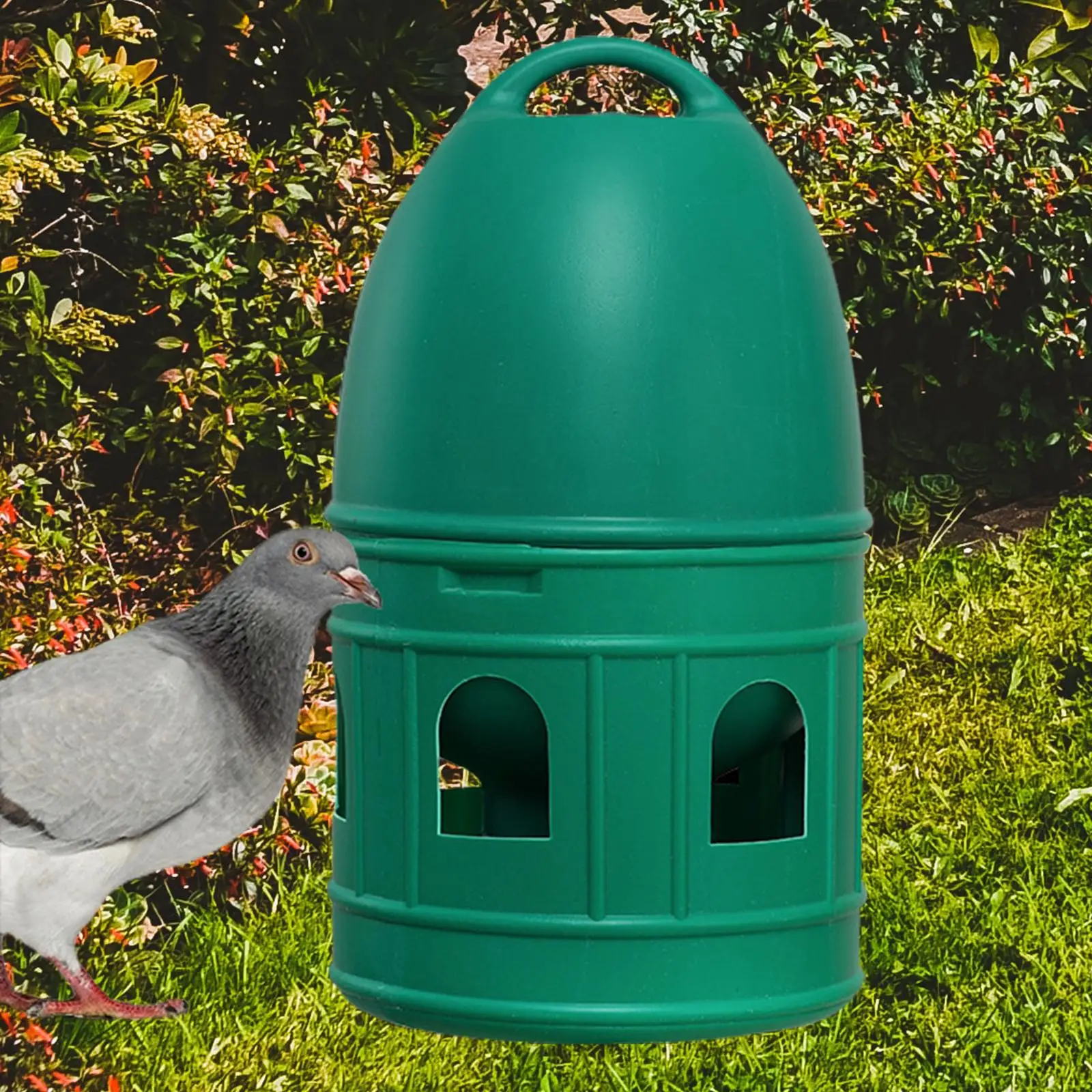 Bebedero de agua para pájaros de 3L/5L, dispensador de agua para loros, periquitos, palomas, patos, patos, comedero automático con mango colgante, olla para pájaros - imagen 3