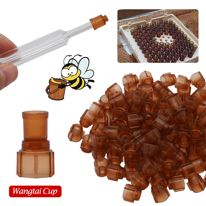 Kit de cría de abejas y reina, Jenter completo, herramientas de apicultura para caja de apicultura, soporte de jaula, tazas de células de plástico, sistema de cría de abejas, 1 Juego - imagen 5
