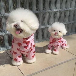 Impermeable para cachorros con capucha nubes y corazones
