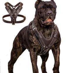 Arnés de cuero genuino para perro grande – ajuste seguro y cómodo