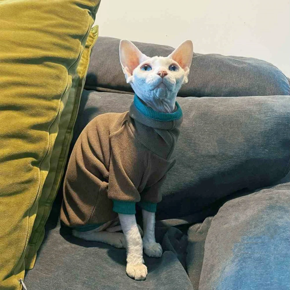 Sphynx Cat Camiseta de algodón para gatitos Perros pequeños Café Manga larga Abrigo de cuello alto para Devon Rex Mono de ocio en otoño - imagen 2