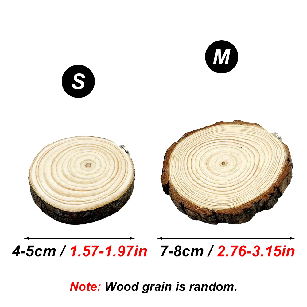 Plataforma magnética de madera para terrario – Para geckos y tarántulas