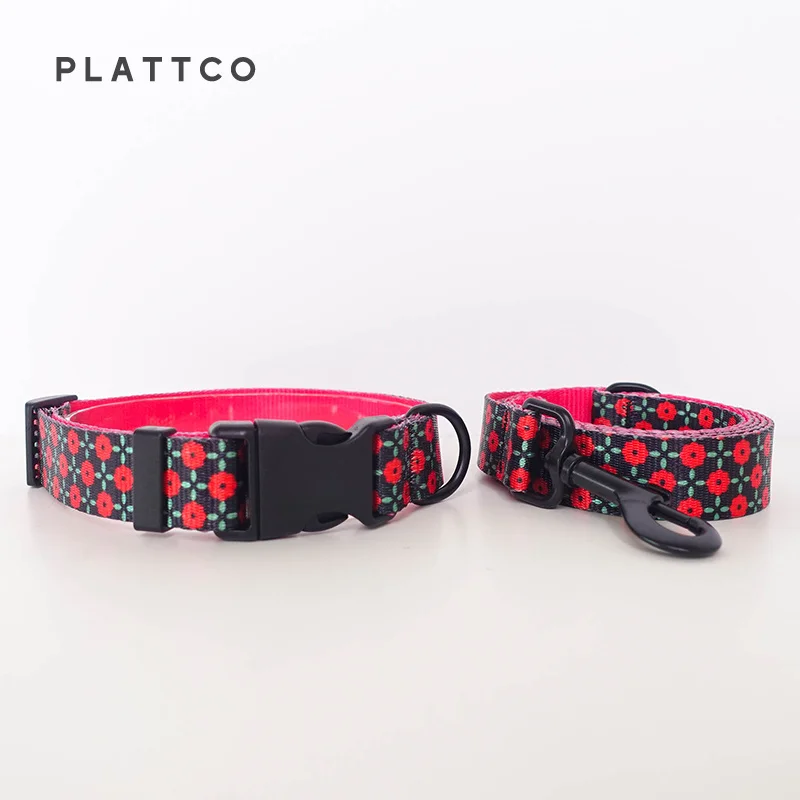 Dog Collar Leash Set