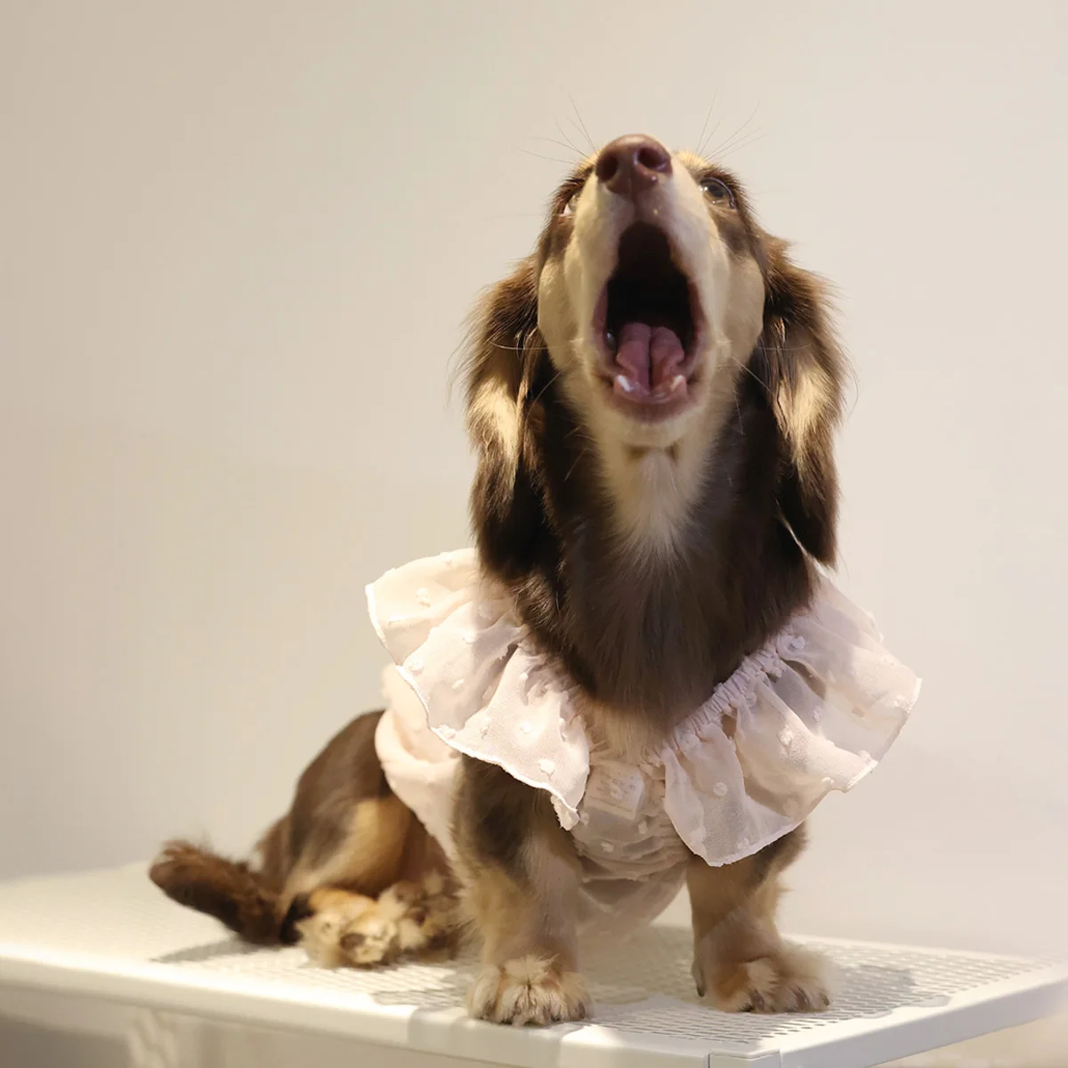 Vestidos para perros pequeños, gatos, ropa para cachorros, vestidos de princesa de verano para mascotas, falda de encaje para perros y niñas, ropa para perro salchicha - imagen 2