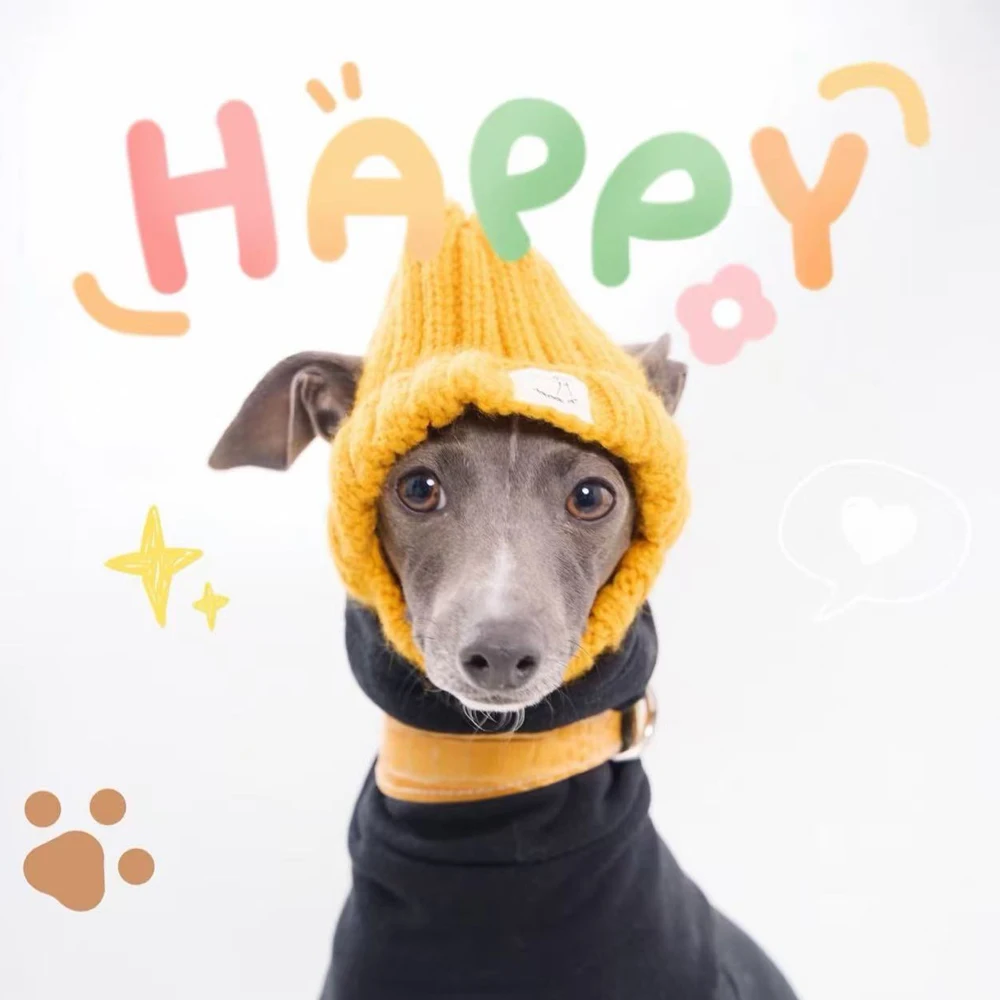 Gorro de galgo italiano hecho a mano, decoración de cabeza de perro de invierno en otoño, sombrero cálido para perros pequeños Whippet con orejas expostas - imagen 3