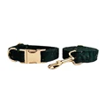 collar and leash set
