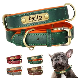 Collar identificativo de cuero para perros – Placa grabada y acolchado