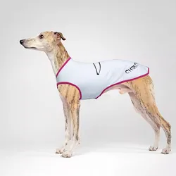 Chaleco de algodón transpirable para perros grandes – Ideal verano