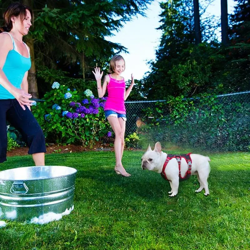 Arnés de entrenamiento para perros de tamaño mediano, chaleco reflectante, cómodo, acolchado, con correa - imagen 2