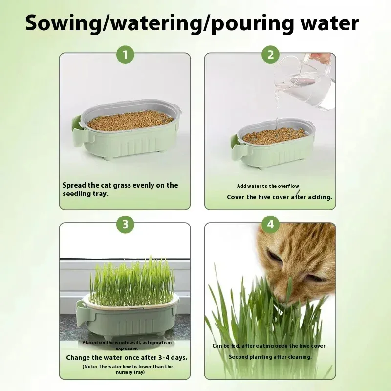 Kit de Hierba para Gatos Cultivo Fácil en Vaso - imagen 2
