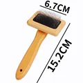 Wooden Brush S