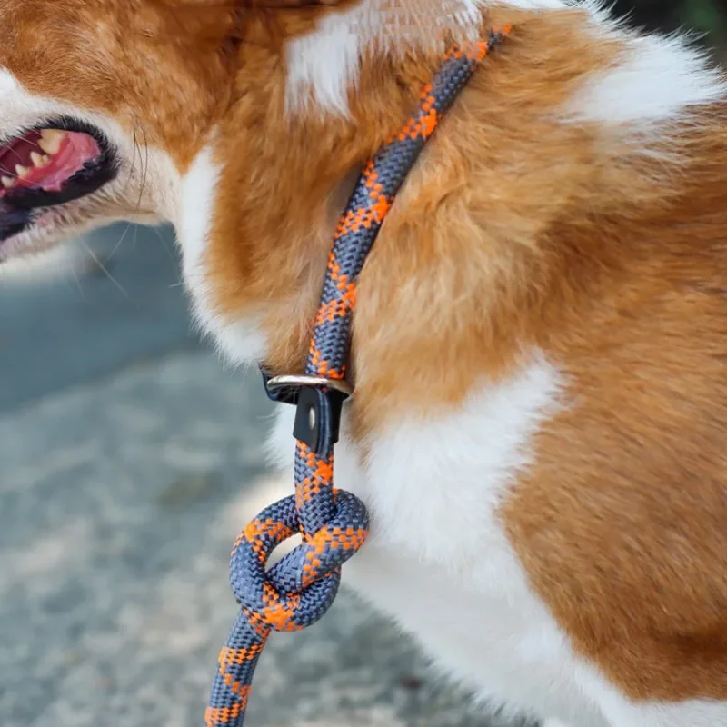 Collar ajustable para perro, cadena reflectante de nailon, arnés de cuerda para caminar, entrenamiento de cachorros, suministros para mascotas - imagen 2