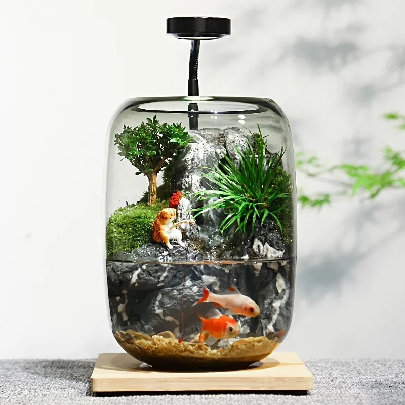 Acuarios, pecera pequeña, botella de plantas ecológica, cuencos de peces, luz para niños, pecera de visualización, micropaisaje, decoración de escritorio para oficina