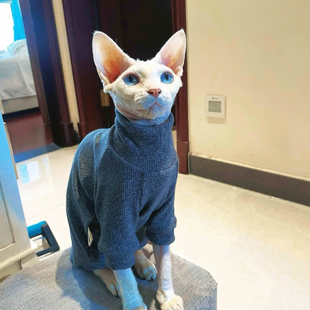 Suéter aislado de cuello alto de punto elástico para gato Sphynx en invierno abrigo gris oscuro suave y cálido para gato sin pelo Devon Rex en otoño - imagen 2