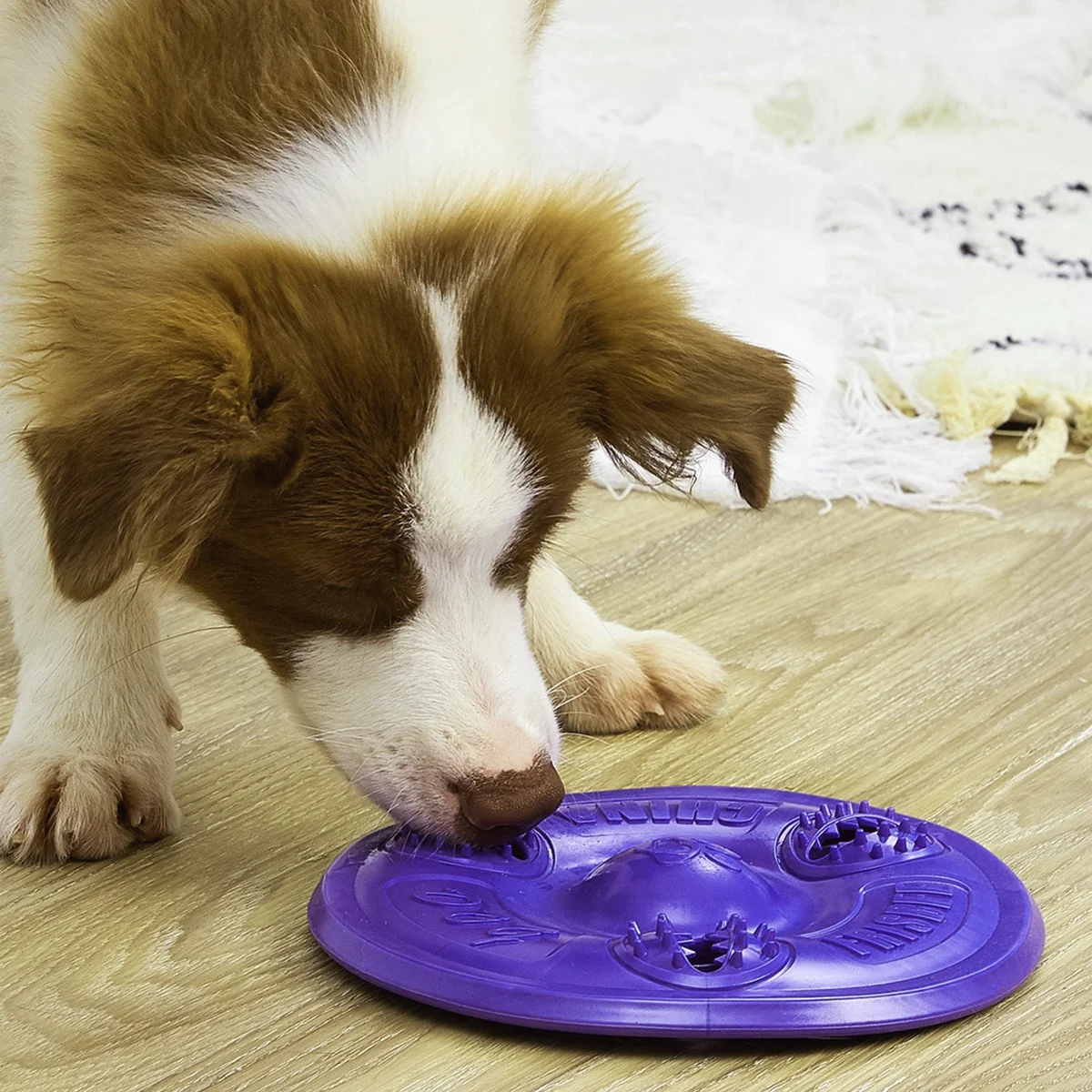 Frisbee-juguete púrpura para mascotas, suministros para perros que caminan, burlas, entrenamiento de perros y frisbees, 1 unidad - imagen 5