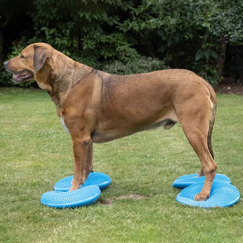 Ayuda de entrenamiento para perros, platillo volador de equilibrio, deportes de Fitness, atrofia muscular, juguete de agilidad para perros, productos de entrenamiento de rehabilitación de mascotas - imagen 2