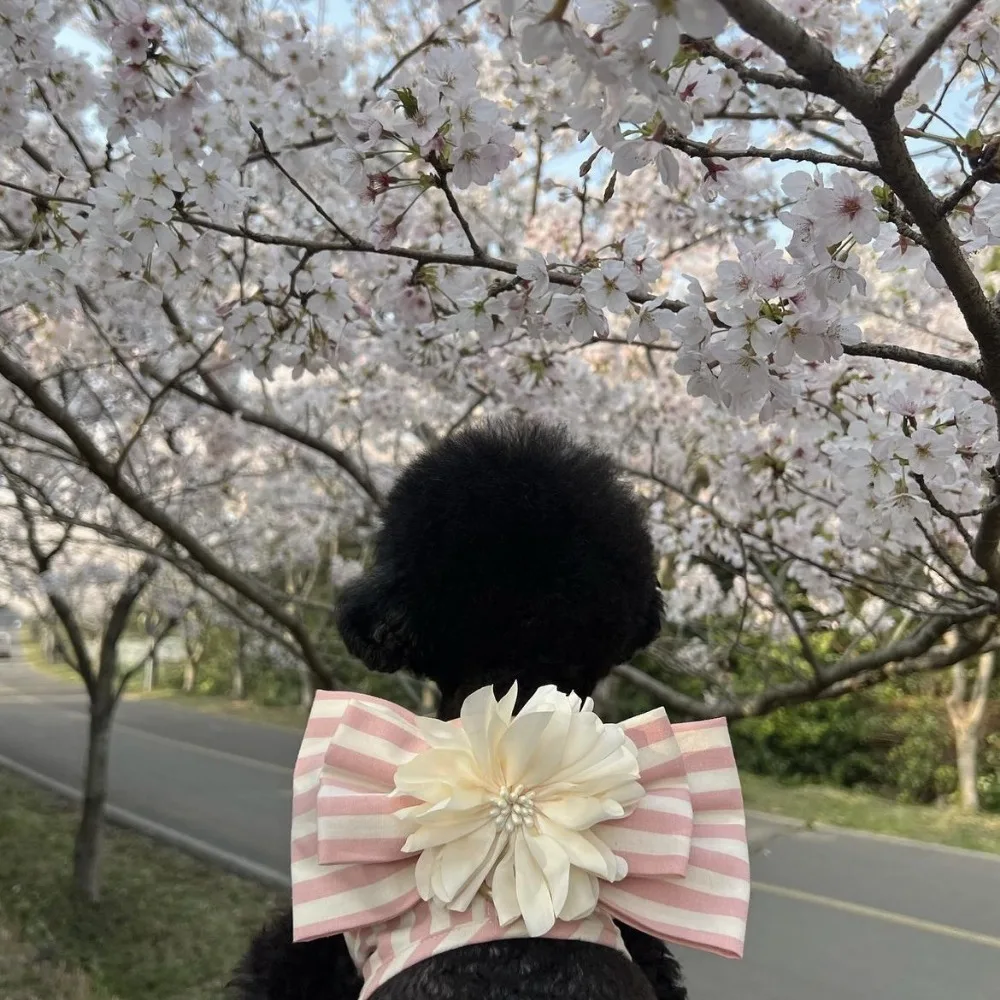 Conjunto de arnés y correa para el pecho y la espalda para perro, cuerda de remolque para salir de peluche, maltés, Yorkshire, flor a rayas, transpirable - imagen 4