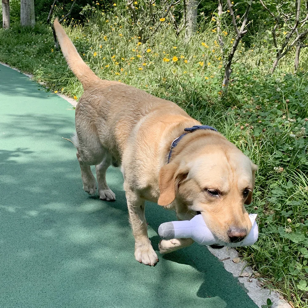 Juguete de peluche para perros, juguetes de peluche bonitos y geniales para perros, botellas de Vodka de peluche, juguetes chirriantes y sonido para mascotas, juguetes chirriantes de lana - imagen 4