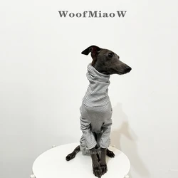 Jersey de terciopelo-rayas para galgo italiano – Cálido invierno