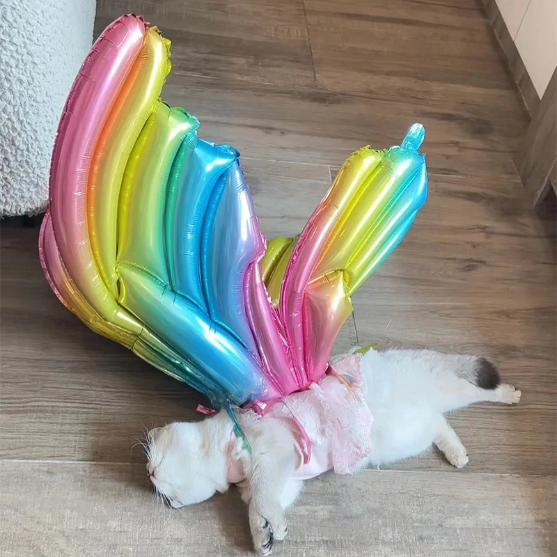 Globos Alas de ángel – Fiesta de cumpleaños mascota - imagen 5