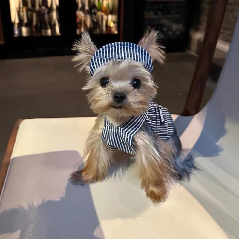 Ropa para mascotas estilo INS Kawaii, primavera y verano, arnés de Yogi maltés de Yorkshire, falda con tirantes vaqueros coreanos con sombrero para perros pequeños