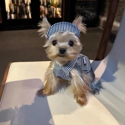 Arnés con falda kawaii para perros pequeños – Ideal Yorkshire y Maltés