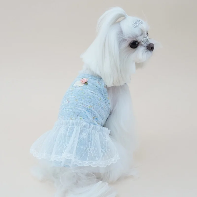 Vestido tutú con encaje para perros Maltese, Chihuahua y Yorkie - imagen 3