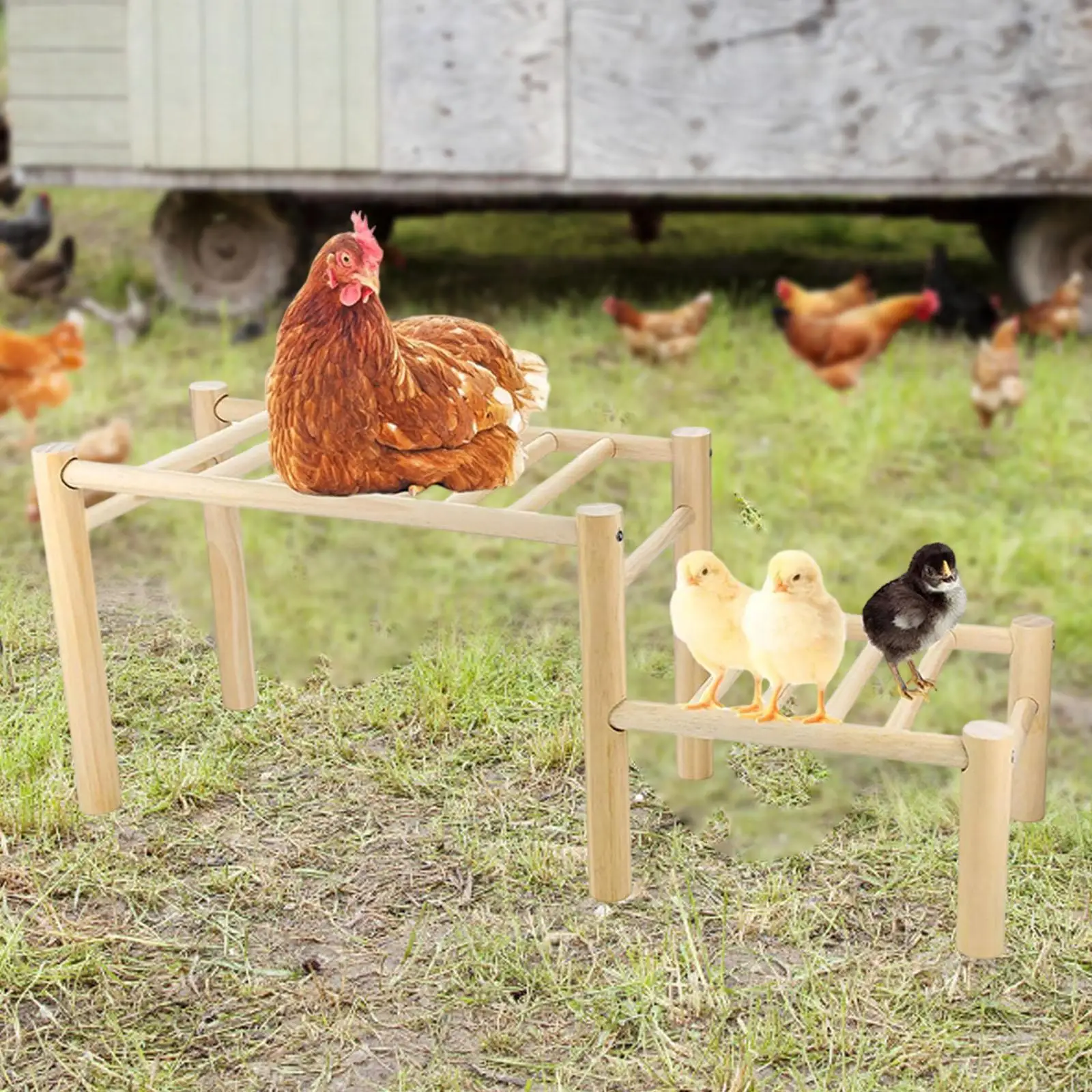 Chicken Perch for Coop Accessories Wooden Roosting Bar Frame Ladder for Outside Training
