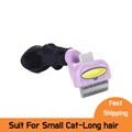 Cat S-long hair