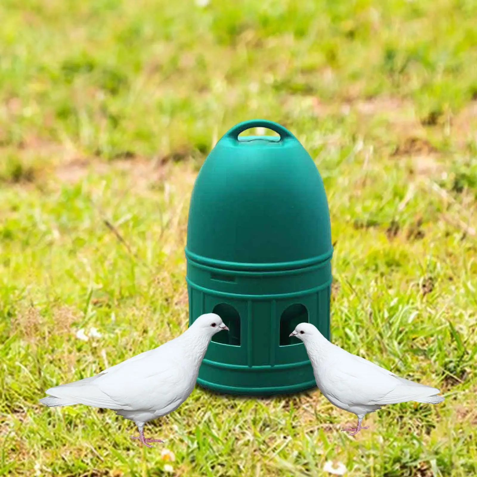 2x Pigeon Drinker Automatic Feeder 10L Watering Cup for Parrot Coop Quail
