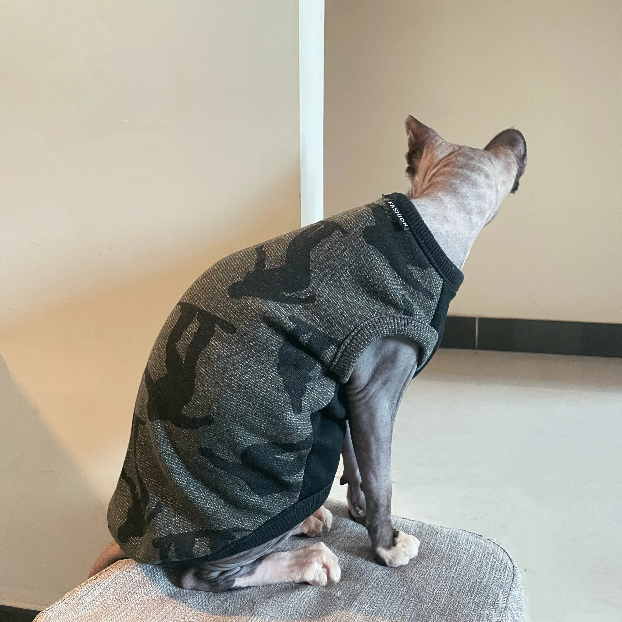 Ropa de otoño para gato sin pelo, sudadera gris de manga corta para gato Sphynx, abrigo verde suave para Devon Rex en suministro de gato de primavera - imagen 2