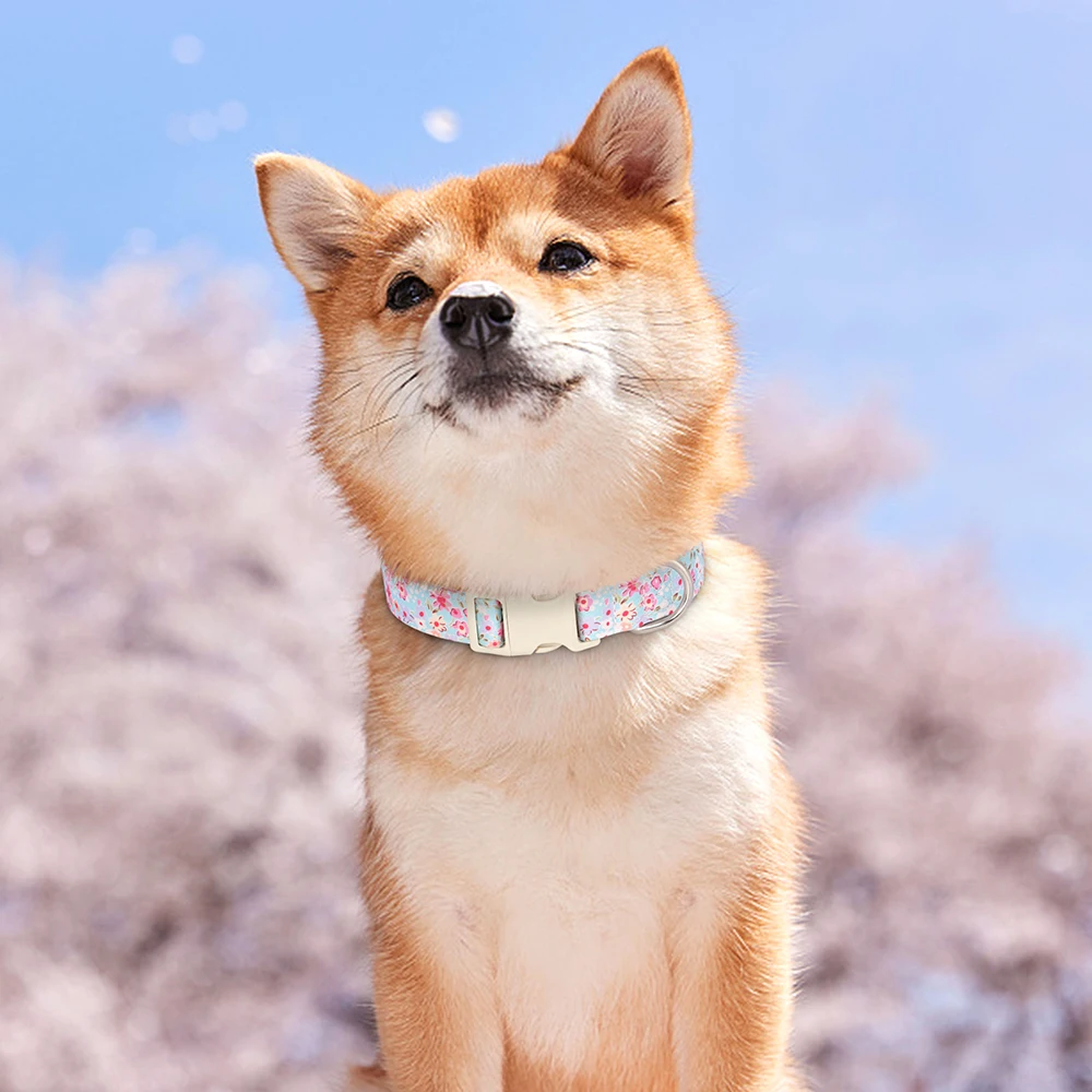 Collar de nailon ajustable para perros, Collar estampado para perros, lindos collares para Chihuahua Bulldog, Collar para perros pequeños, medianos y grandes, suministros para mascotas - imagen 5