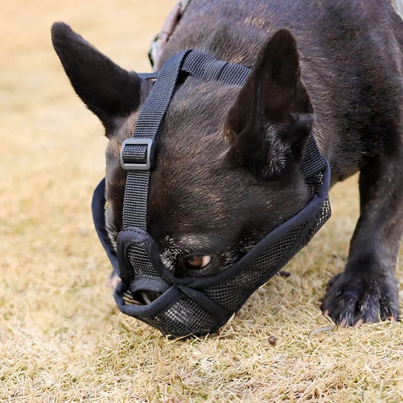 Bozal ajustable para perros, mascarilla bucal transpirable para perros pequeños, medianos y grandes, botedog Francés, bozal antimordeduras, accesorio para perros - imagen 4
