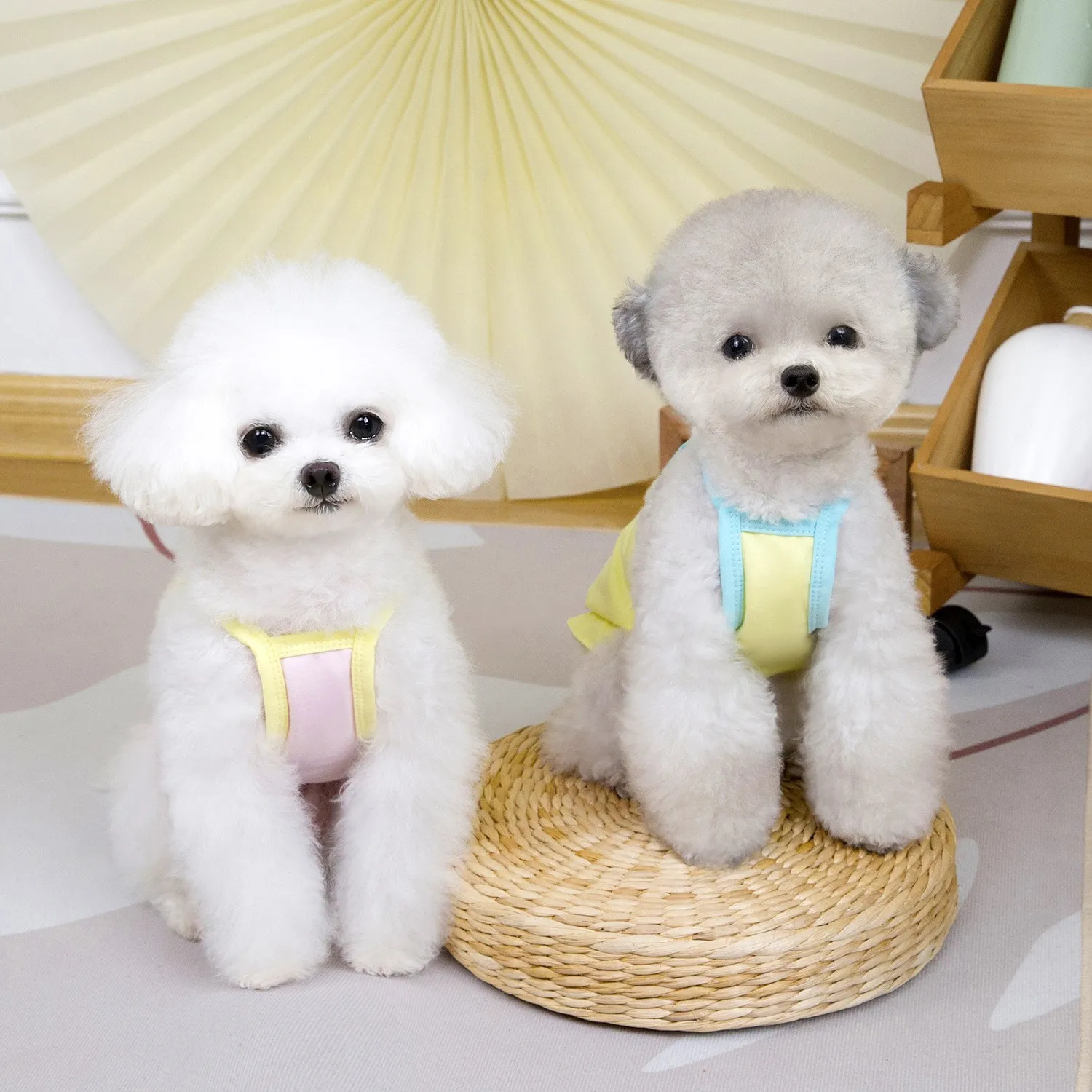 Camisola contrastante de primavera para mascotas, ropa fina para perros, chaleco con estampado bonito para gatos, vestidos para perros pequeños, ropa para cachorros - imagen 3