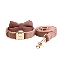 Bow Collar Leash Set