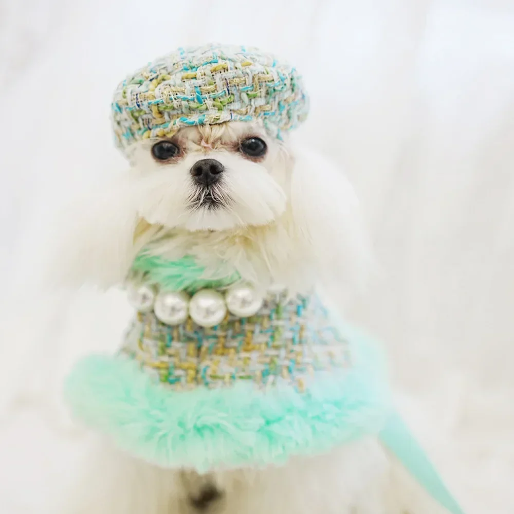 Ropa clásica de invierno para perros, arnés para perros, traje para niñas, capa fragante, princesa, cachorro, gatos, tracción en el pecho y la espalda para perros pequeños - imagen 3