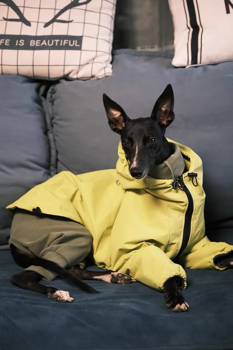 Chaqueta a prueba de viento de moda para galgo italiano, impermeable suave de lujo para perros grandes, ropa impermeable amarilla para perros para Bedlington