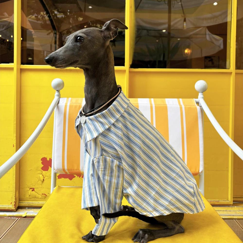 Camisa italiana a rayas de galgo, camisa fina de moda versátil para perros, ropa suave y cómoda para mascotas, primavera y verano - imagen 4