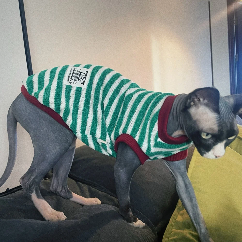 Primavera Otoño Gato sin pelo a rayas verdes Chaleco de suéter de chenilla suave Traje de Navidad para gatitos Chaqueta de invierno para gato Sphynx - imagen 3