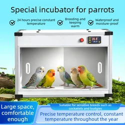 Caja calefactora con temperatura constante para cachorros y gatitos