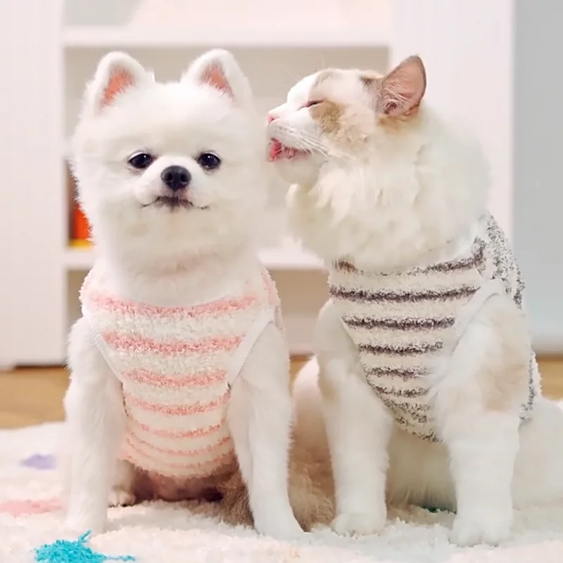 Ropa de lana para perros Otoño Invierno abrigo a rayas para perros lindo estampado de conejo chaleco cálido para perros gatos Bichon Yorkie taza de té jerseys para perros - imagen 3