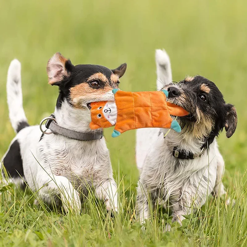 Juguete chirriante peluche para perros – Resistente y divertido - imagen 2