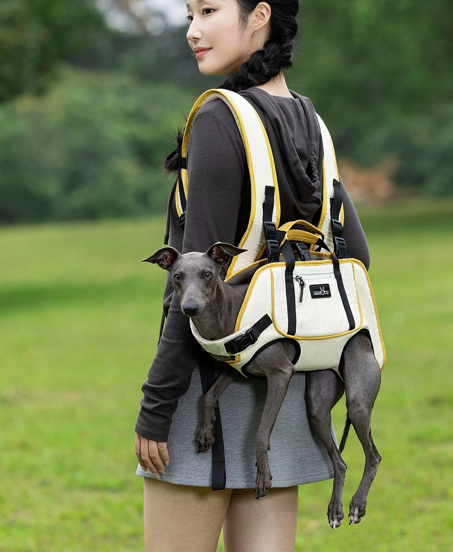 Arnés de elevación para perros, mochila para perros de cuerpo completo, arnés, mochila de emergencia para discapacitados, lesiones en las articulaciones antiguas, mochila para perros, arnés portador - imagen 2