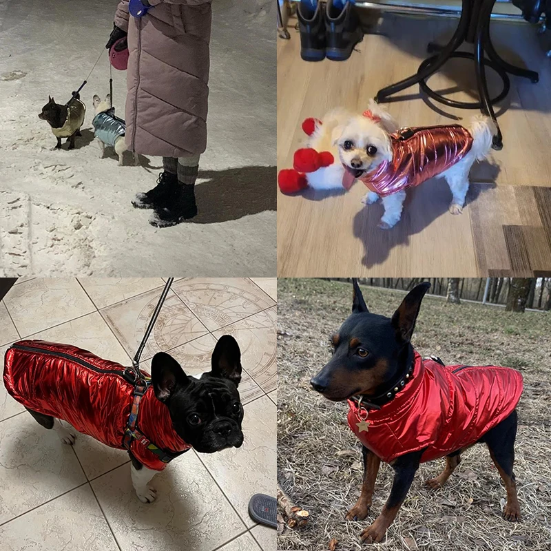 Ropa cálida de invierno para mascotas, chaleco impermeable a prueba de viento para perros pequeños y medianos, abrigo con anillo en D, trajes para cachorros de Bulldog Francés - imagen 5