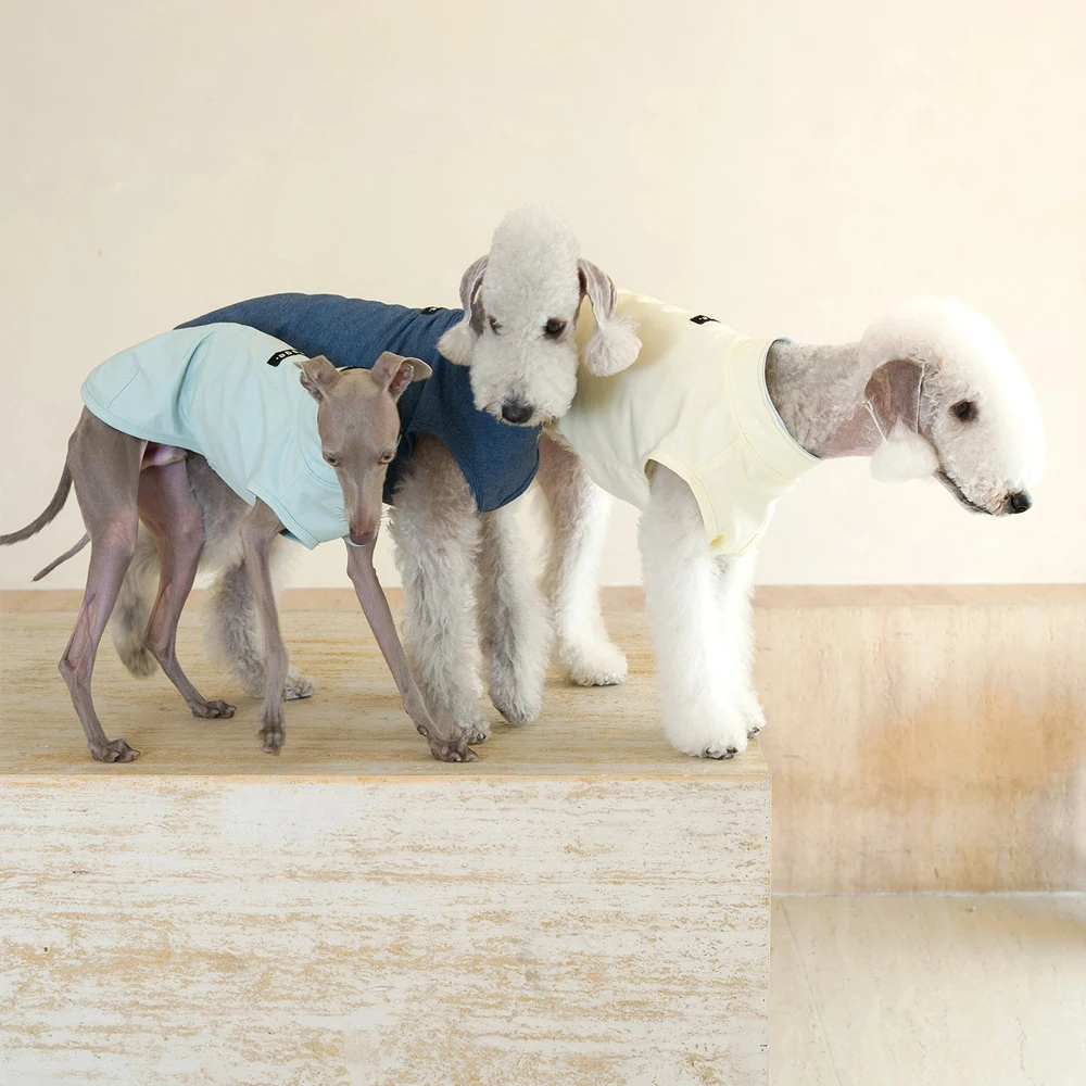 Chaleco antibacteriano para perros Galgo Italiano y Bedlington Terrier - imagen 2