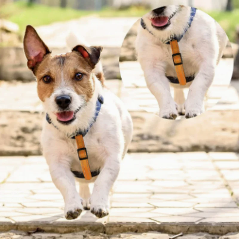 Collar reflectante ajustable para perros – Clip 360 seguro - imagen 4