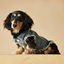 Chaleco jersey para perros pequeños y medianos